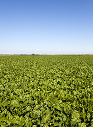 Similar image 8345023