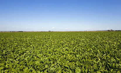 Similar image 8345024