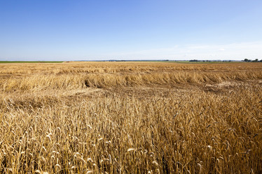 Similar image 8345027