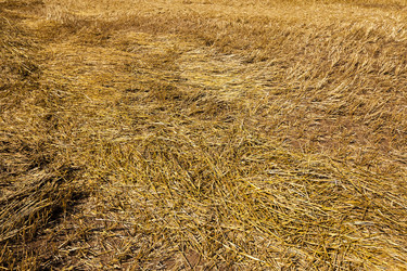 Similar image 8345038