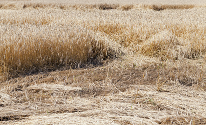 Similar image 8345042