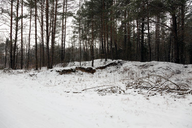 Similar image 8345044