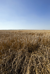 Similar image 8345047