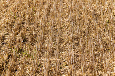 Similar image 8345056