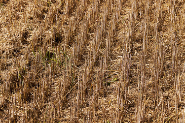 Similar image 8345057