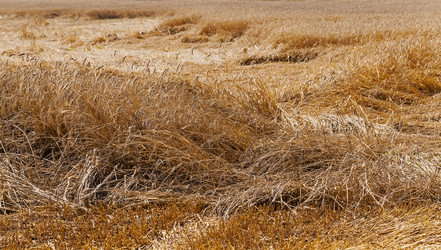 Similar image 8345059