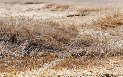 Similar image 8345060