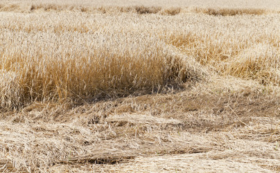 Similar image 8345063