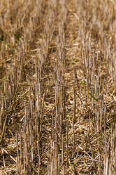 Similar image 8345084