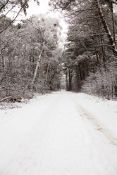 Similar image 8345113