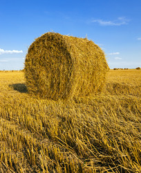 Similar image 8345118