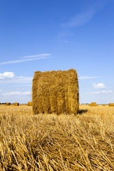 Similar image 8345157