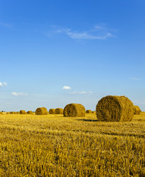 Similar image 8345174