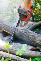 Similar image 8345964