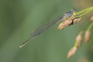 Similar image 8346024