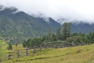 Similar image 8346027