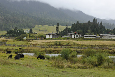 Similar image 8346028