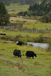 Similar image 8346029