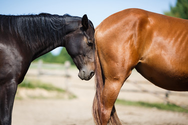 Similar image 8346044