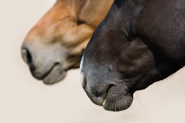 Similar image 8346049