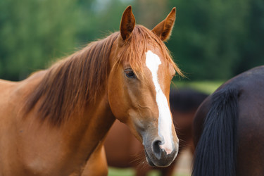 Similar image 8346054