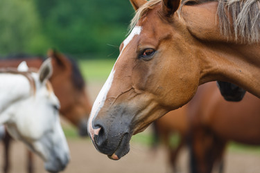 Similar image 8346056