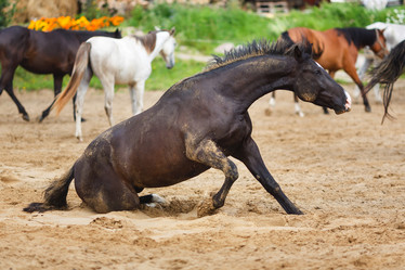 Similar image 8346057