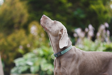 Similar image 8346060