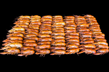 Similar image 8346178