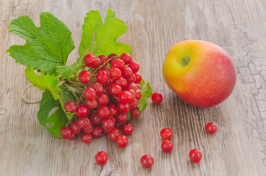 Similar image 8346255