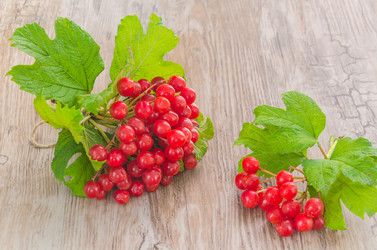 Similar image 8346258