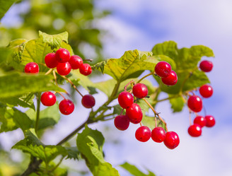 Similar image 8346262