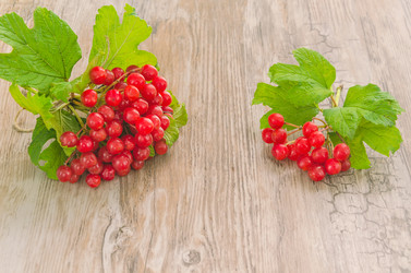 Similar image 8346265