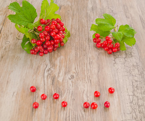 Similar image 8346266