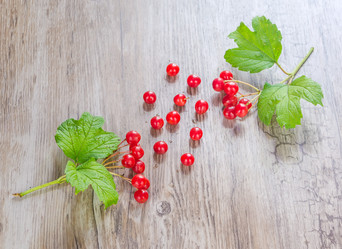 Similar image 8346268