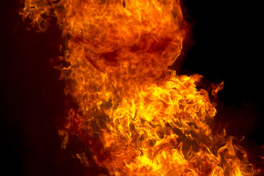 Similar image 8346331