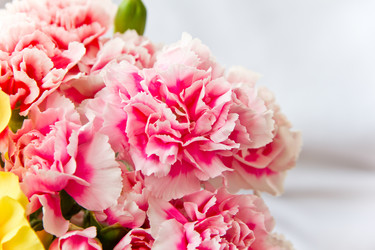 Similar image 8346335