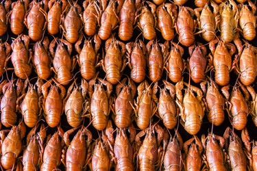 Similar image 8346422