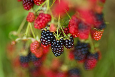 Similar image 8346479