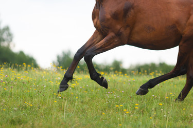 Similar image 8346481