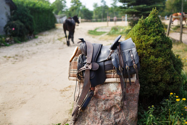 Similar image 8346482