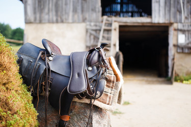 Similar image 8346483