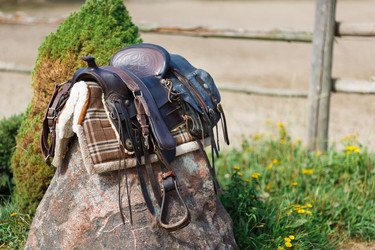 Similar image 8346484