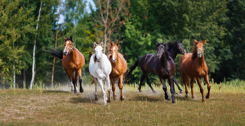 Similar image 8346485