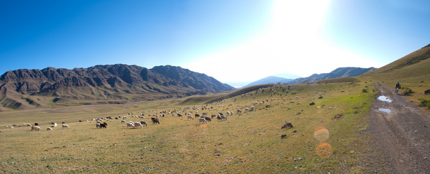 Similar image 8346514