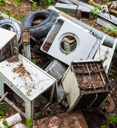 Similar image 8346519