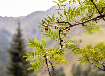 Similar image 8346521