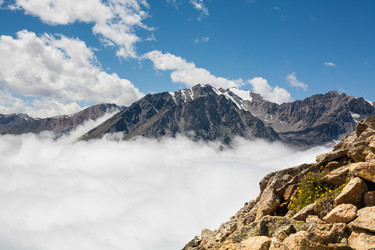 Similar image 8346526