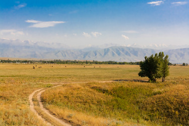 Similar image 8346529