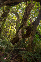 Similar image 8346532